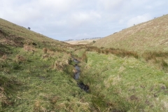7. Flowing past Hurdle Down