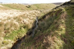 9. Flowing past Hurdle Down