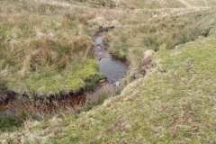 10. Downstream from source