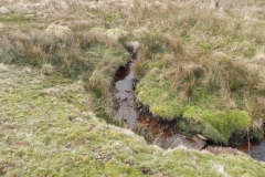 11. Downstream from source