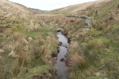 20. Flowing to county boundary