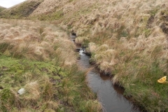 23. Flowing to county boundary