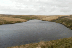 1. Pinkery Pond