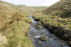 10. Downstream from Aclands Farm
