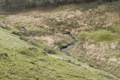 10. Downstream from Pinkery Pond