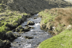 11. Downstream from Aclands Farm