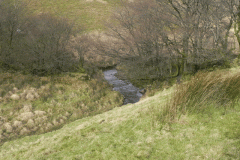 11. Downstream from Pinkery Pond