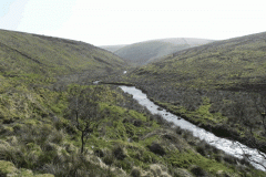 14. Downstream from Aclands Farm