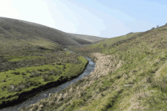 15. Downstream from Aclands Farm