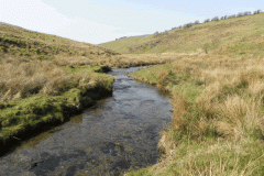17. Upstream from Squallacombe