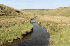 18. Upstream from Squallacombe