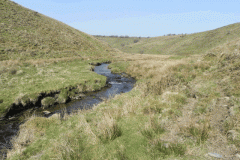 19. Upstream from Squallacombe