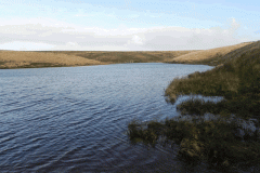 2. Pinkery Pond
