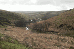 20. Downstream from Pinkery Farm