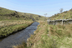 22. Downstream from Squallacombe