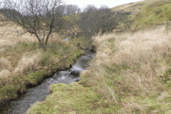 24. Looking upstream near Goats Hill Bridge