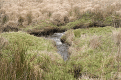 25. Stream joins near Goats Hill Bridge