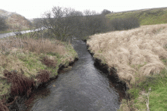 28. Looking downstream from Goats Hill Bridge