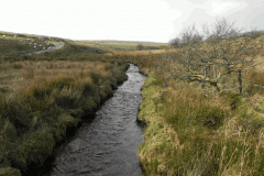 30. Looking upstream from ROW Bridge 3490