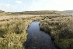 34. Looking downstream from ROW Bridge 3490