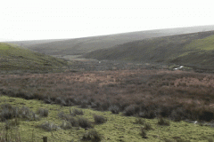 35. River Barle flowing past little Vinnicombe