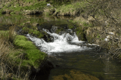 36. Downstream from Cornham Ford