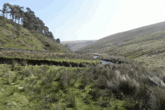 39. Flowing past Little Cornham