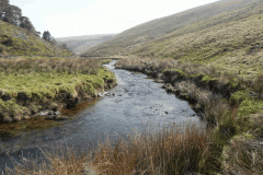 40. Flowing past Little Cornham