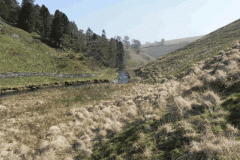 41. Flowing past Little Cornham