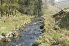 42. Flowing past Little Cornham