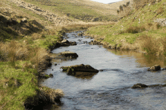 44. Flowing past Little Cornham