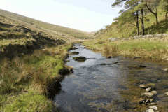 45. Flowing past Little Cornham