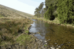 46. Flowing past Little Cornham