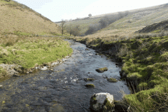 48. Flowing past Little Cornham