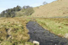 49. Flowing past Little Cornham
