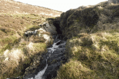 5. River Barle outlet Pinkery Pond