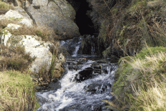 6. River Barle outlet Pinkery Pond