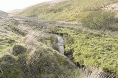 9. Downstream from Pinkery Pond