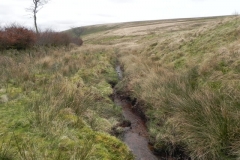 10. Flowing past Hangley Cleave