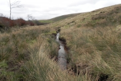 17. Flowing past Hangley Cleave