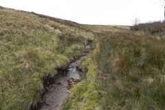 18. Flowing past Hangley Cleave