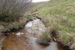 24. Flowing past Hangley Cleave