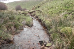 25. Flowing past Hangley Cleave