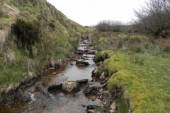 27. Flowing past Hangley Cleave