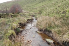 28. Flowing past Hangley Cleave