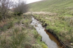 30. Flowing past Hangley Cleave