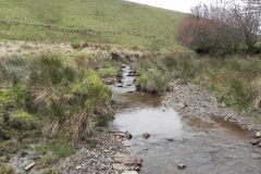 31. Flowing past Hangley Cleave