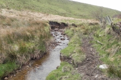 33. Flowing past Hangley Cleave
