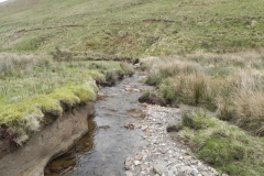 35. Flowing past Hangley Cleave