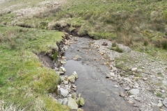 38. Flowing past Hangley Cleave